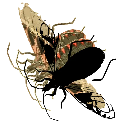 Wasp in flight 04