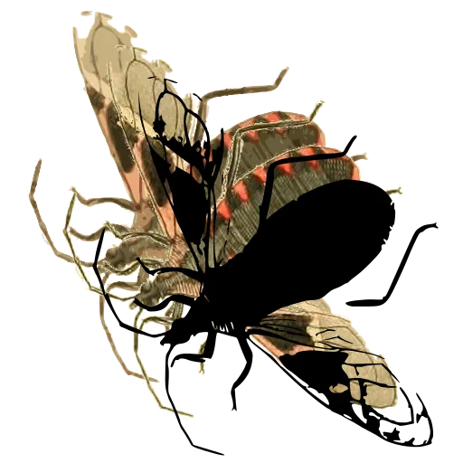 Wasp in flight 04
