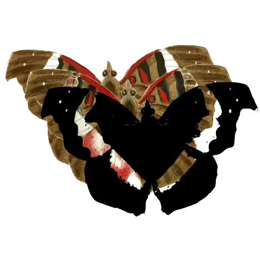 Angled butterfly