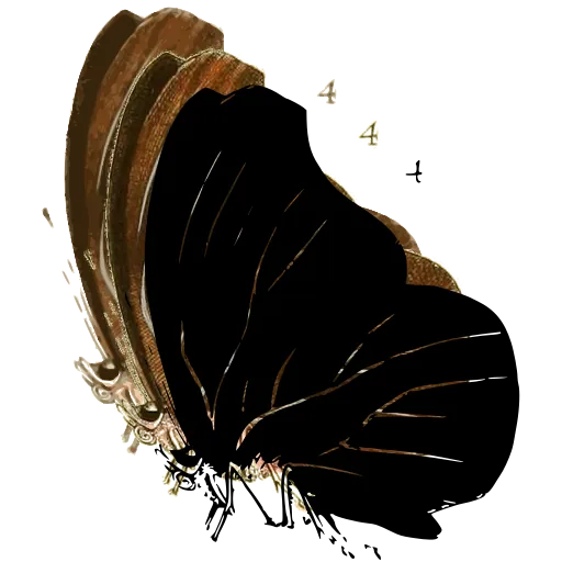 Veined butterfly in side view 03
