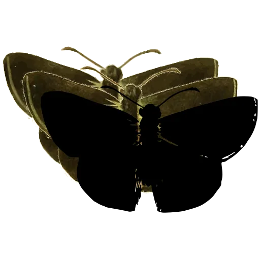 Dark butterfly 05