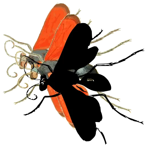 Wasp with raised wings