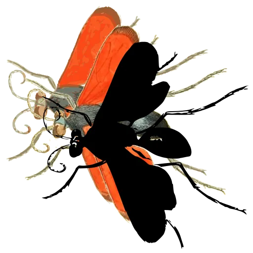 Wasp with raised wings