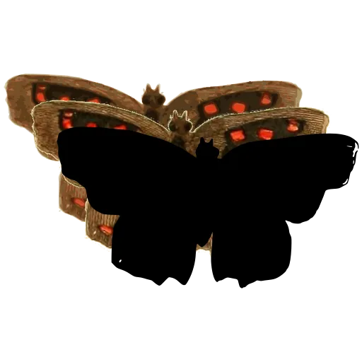 Dark butterfly 06