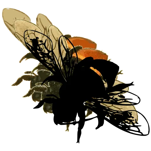 Bee in flight 04