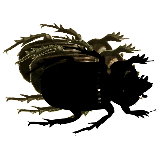 Striped dung beetle