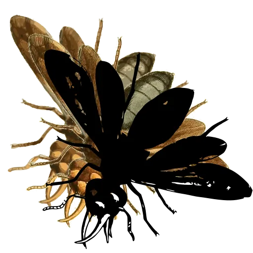 Bee in flight 05