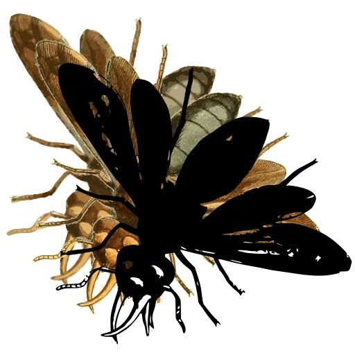 Bee in flight 05