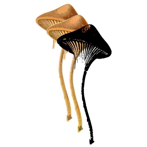 Conical cap on a long stem