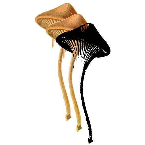 Conical cap on a long stem