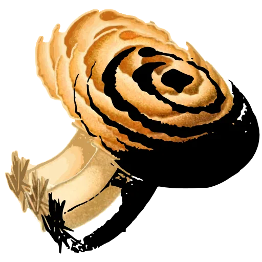 Zoned cap mushroom