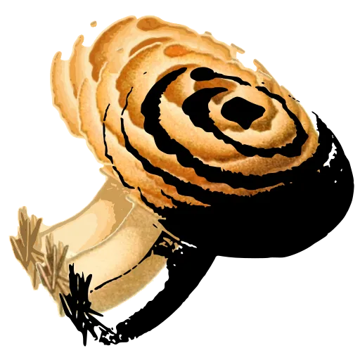 Zoned cap mushroom