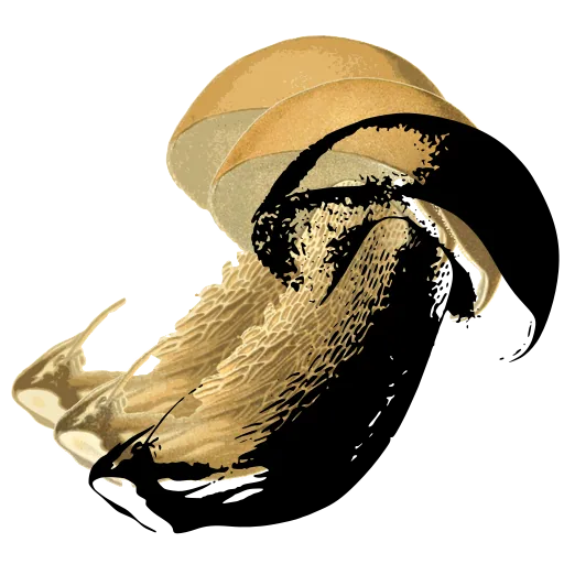 Leaning bolete