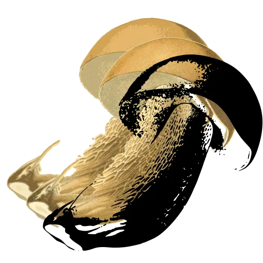 Leaning bolete