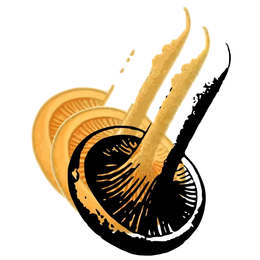Upturned cap showing the gills