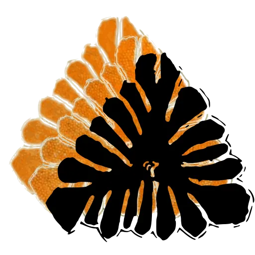 Lobed pollen grain