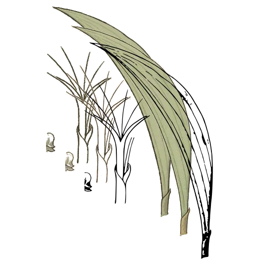 Arching grass blades