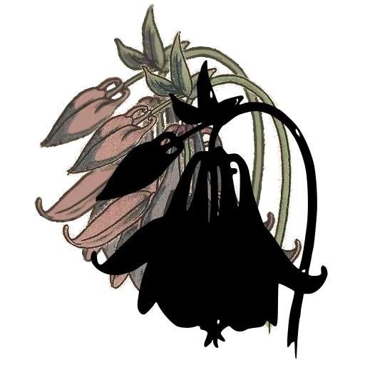 Nodding bellflower with leaves