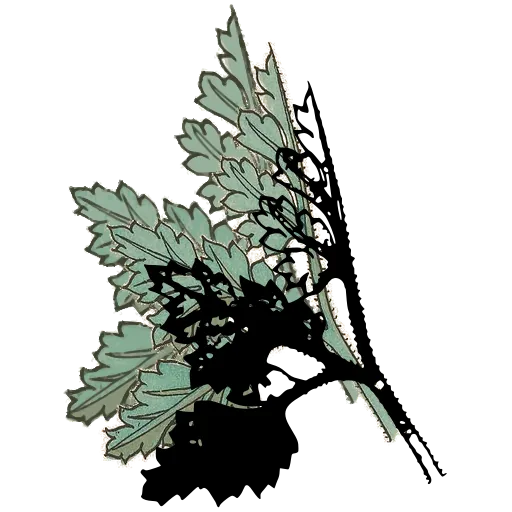 Lobed leaves on bristly branch