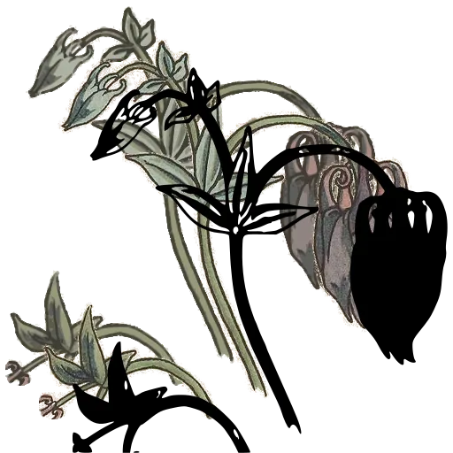 Nodding bell flower on stem