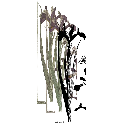Tall blade with small bud
