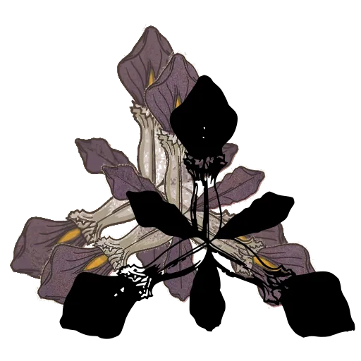 Stylised iris bloom