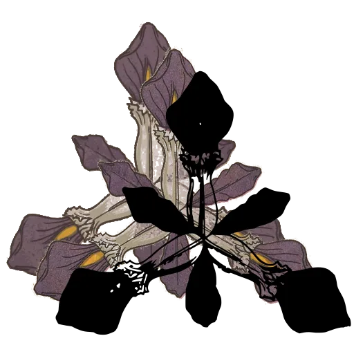 Stylised iris bloom