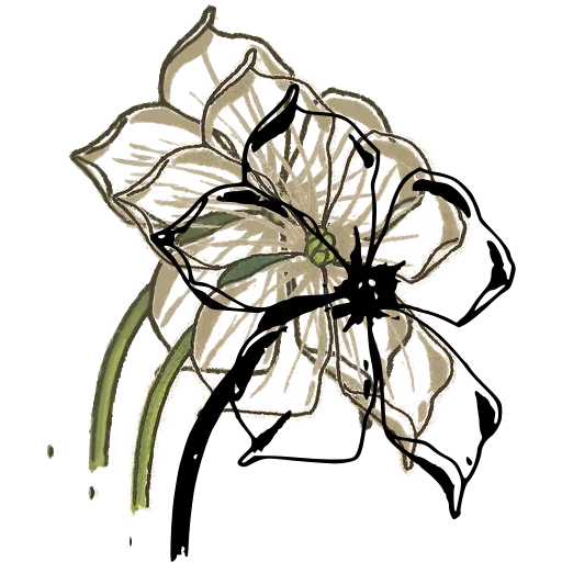 Five-petalled flower with wavy petals