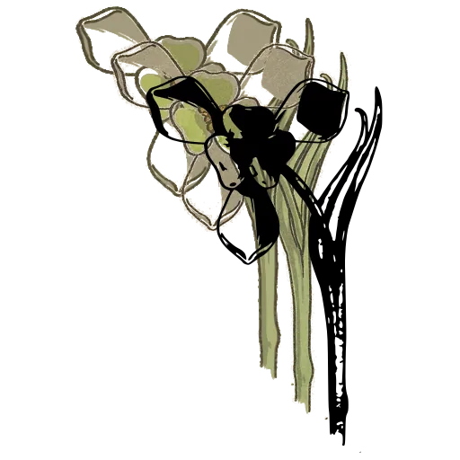 Three-petalled flower with strap leaves