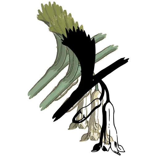 Spiky bloom with tubular flower