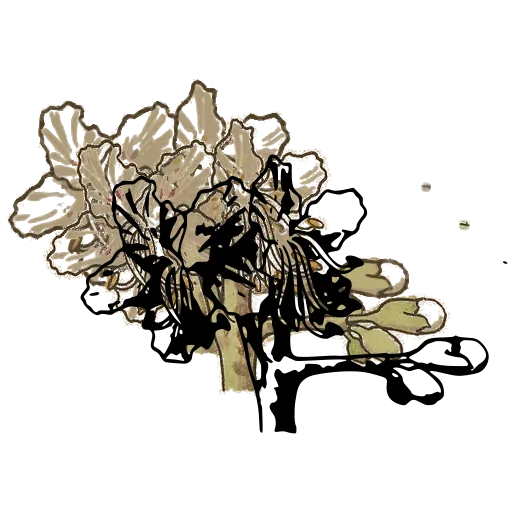 Flowering spray with buds