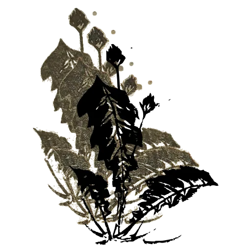 Leafy plant