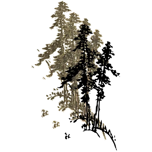 Pine on a bank