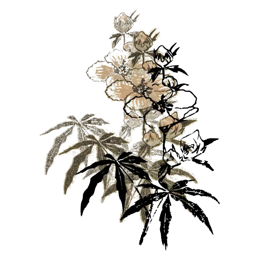 Flowering plant 01