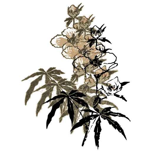 Flowering plant 01
