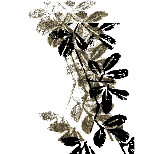 Leafy branch 01