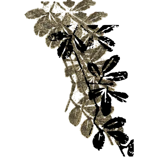 Leafy branch 01