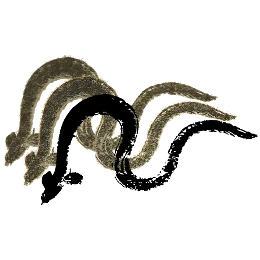 Eel