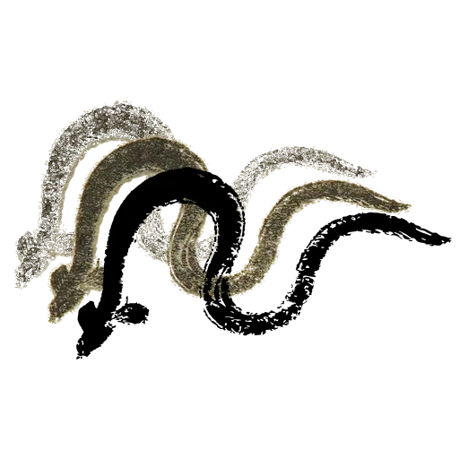 Eel