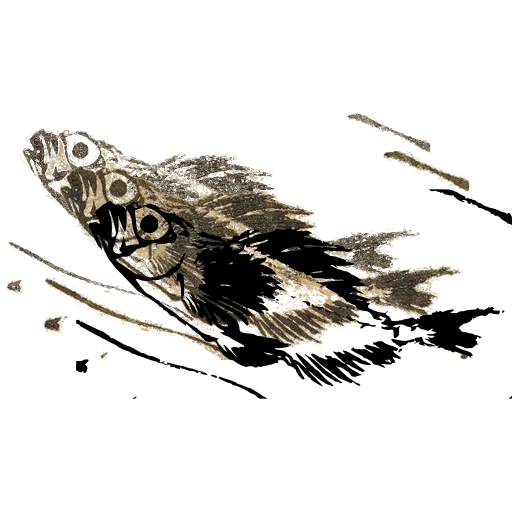 Fish 01