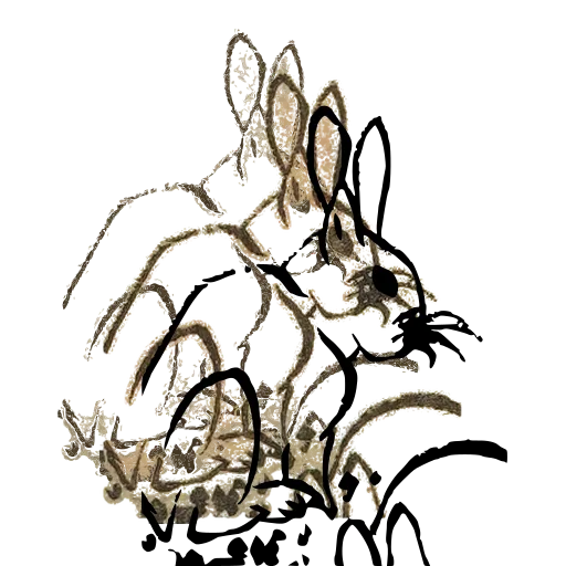 Rabbit