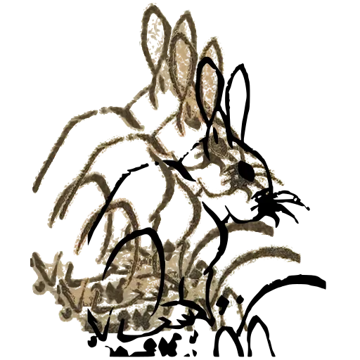 Rabbit