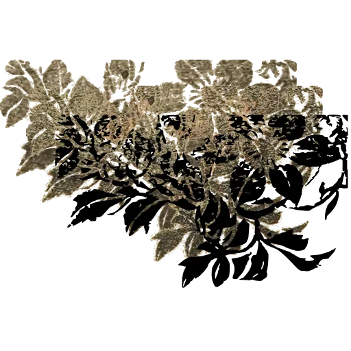 Berried branch 01