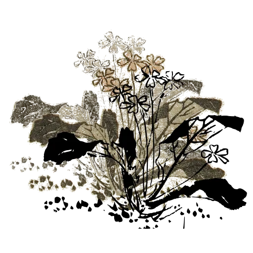 Flowering plant 02