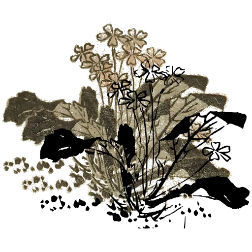 Flowering plant 02