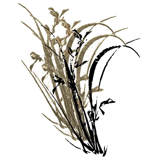 Grasses and buds