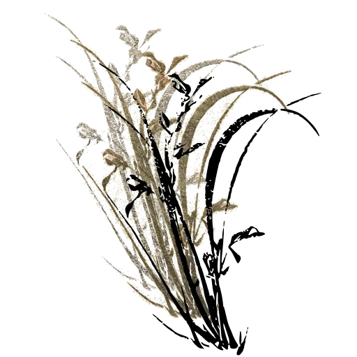 Grasses and buds