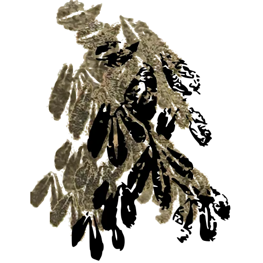 Leafy branch 04
