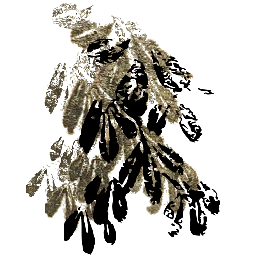 Leafy branch 04