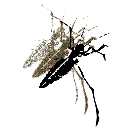 Long-horned beetle